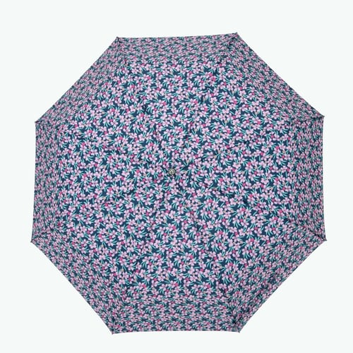 Cabaia - Cabaia