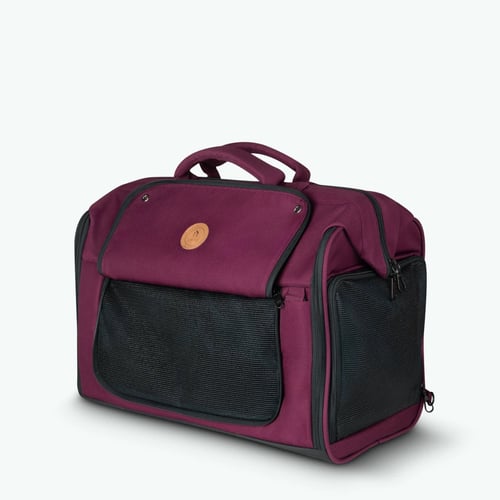 Sac de transport Adventurer pour Animaux Nice - Cabaia -  - Cabaia